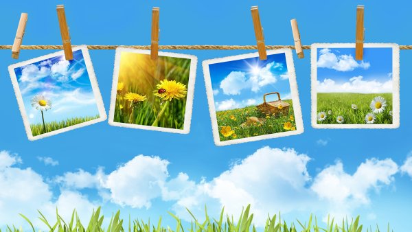 Летний фон для презентации
