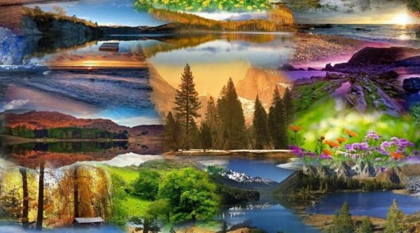 Коллаж природа