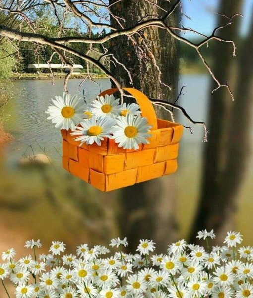 С дрбрымиутром природа
