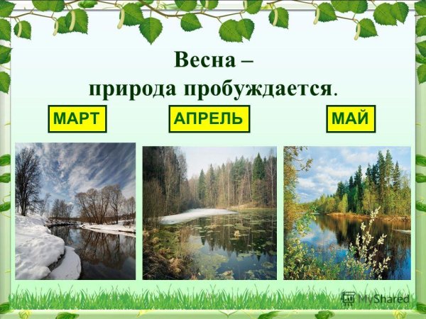 Весенние месяцы для детсада
