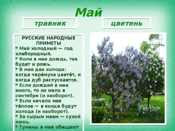 Апрель для детей