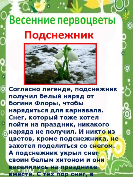 Уголок природы Весна