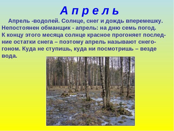 Приметы весны для дошкольников