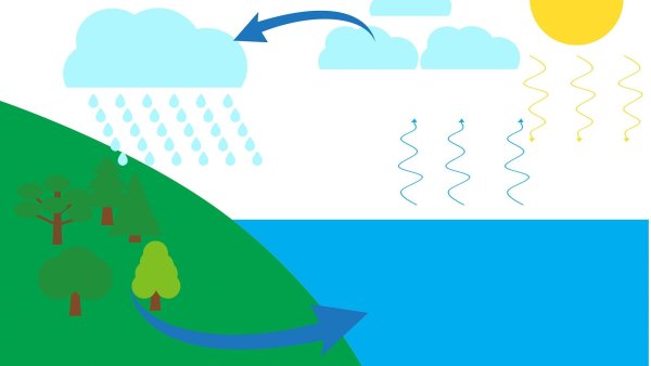 Водоворот воды в природе для детей