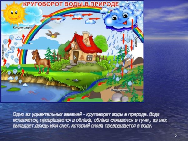 Круговорот воды в природе