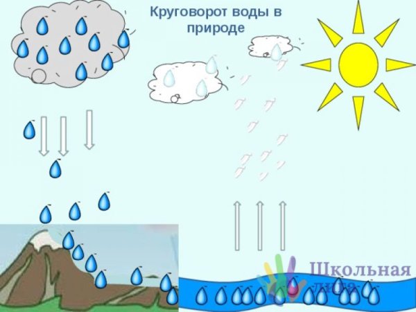 Модель круговорота воды в природе