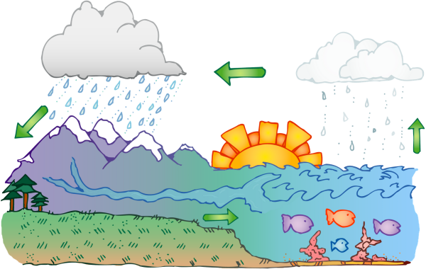 Круговорот воды