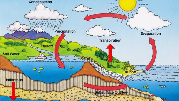 Кругообіг води в природі