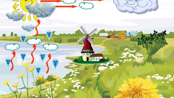 Круговорот воды вприроле