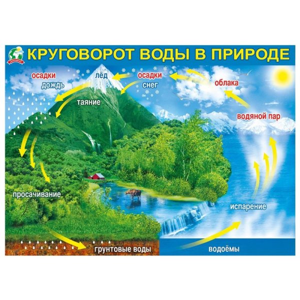 Круговорот воды