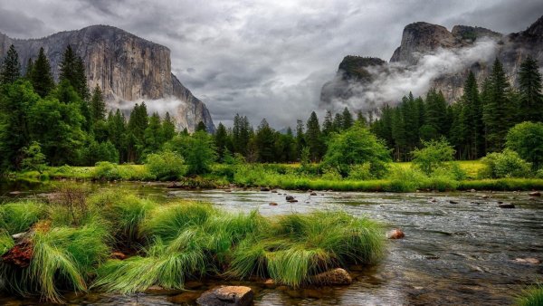 Красивая природа