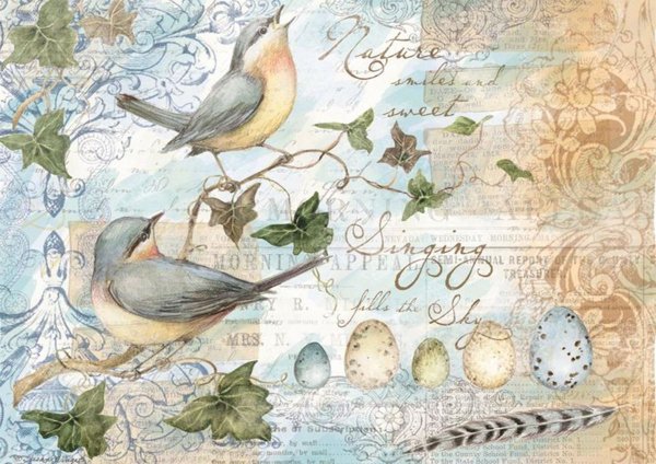 Винтажные птички для декупажа