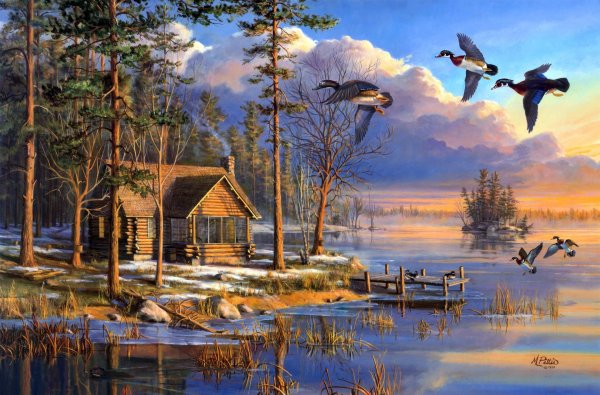 Художник Даррел Буш (Darrell Bush)