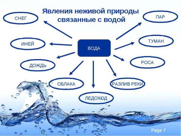 Круговорот углерода в природе