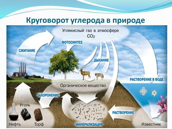 Круговорот воды в природе
