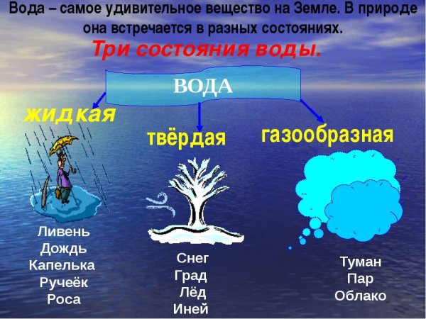 Презентация Родники