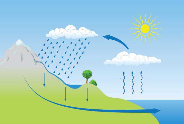 Текст про дождь