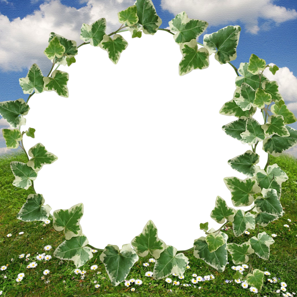 Рамки для фотошопа