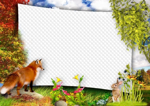 Рамки для проекта про животных