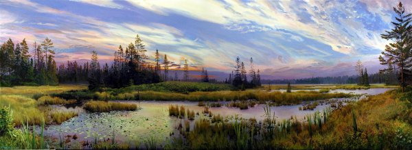 Юшкевич Lake Лесное озеро
