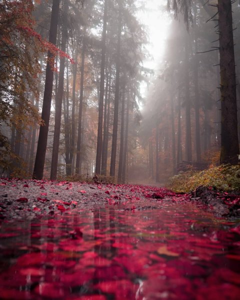 Красивая природа