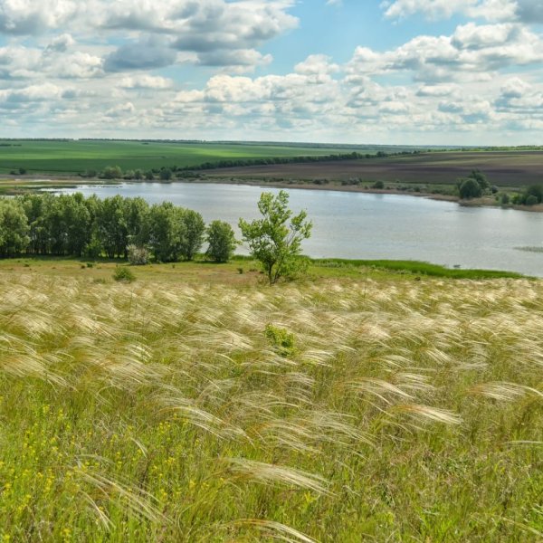 Донской край казачий край природа