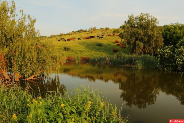 Природа Донского края Волгодонск