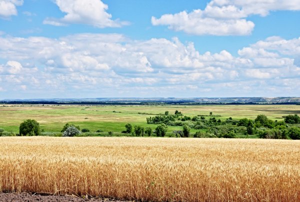Донская степь Дон река