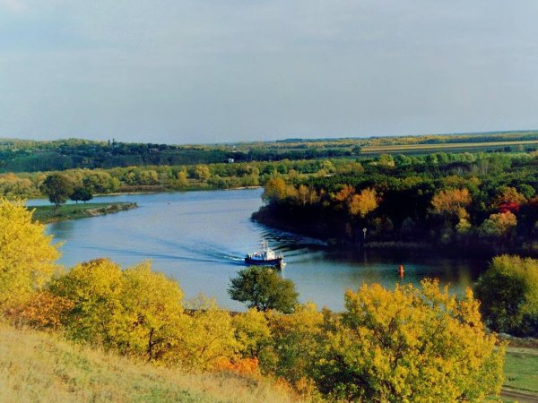 Донской край природа