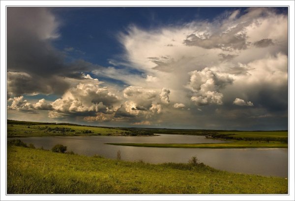 Природа Донского края Волгодонск