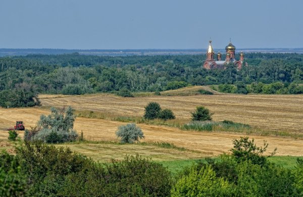 Донской пейзаж Ростовской области