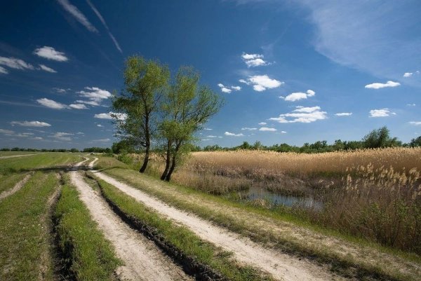 Донские степи Ростовской области