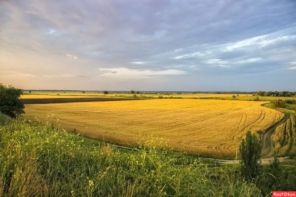Донская степь Ростовская область