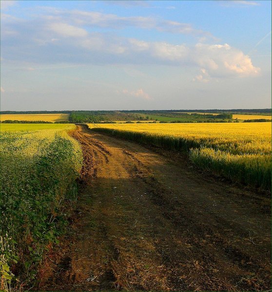 Донская степь Дон река