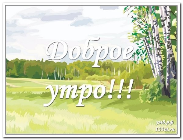 Открытки поздравления с добрым утром на природе