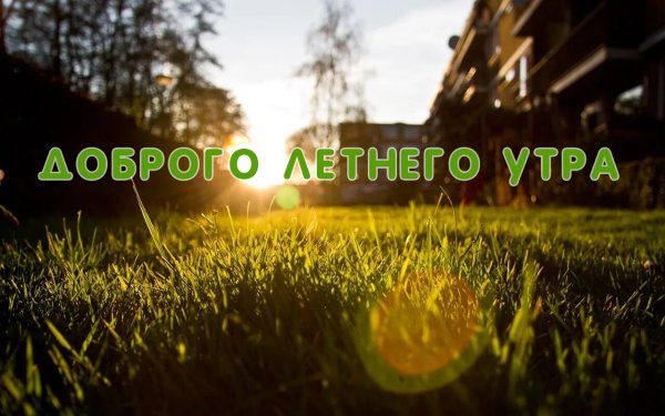 Доброе утро лето природа с надписью