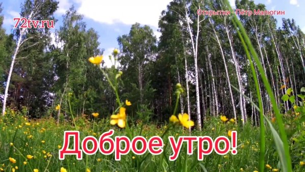 Пожелания с добрым утром на фоне природы