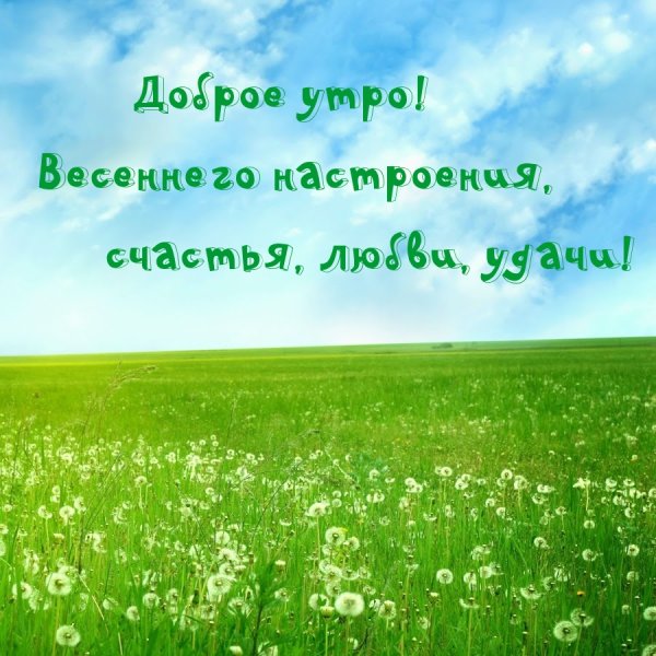 Доброе утро природа с надписью