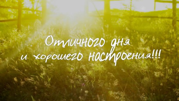 Продуктивного дня и хорошего настроения