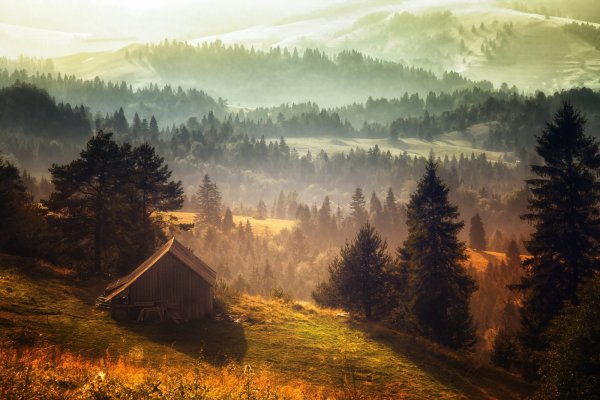Глушь природы