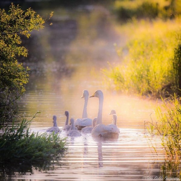 Фотографа Jaewoon u