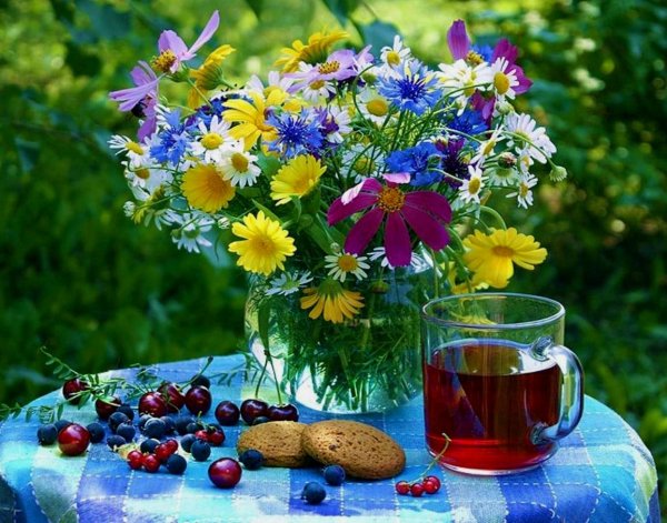 Природа летом рассвет