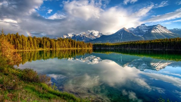 Красивая природа
