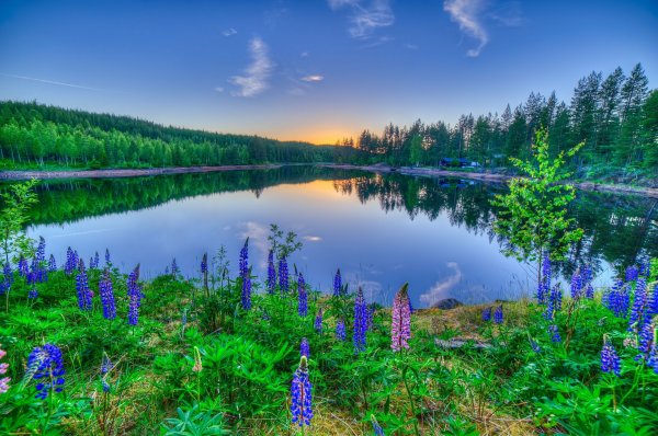 Природа на рабочий стол горы река