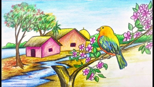 Природа для срисовки