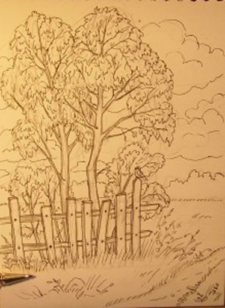 Рисунки для срисовки природа