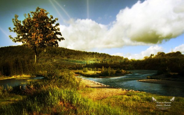 Природа сейчас