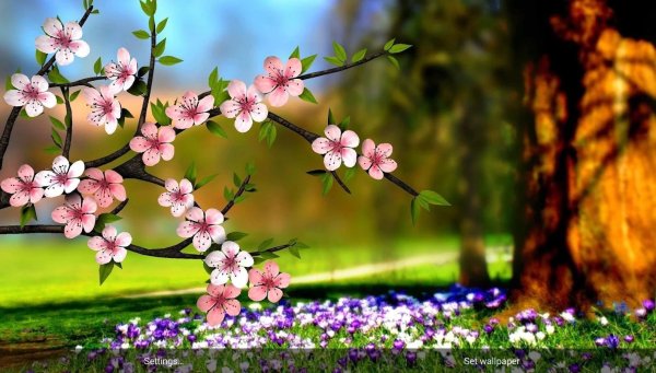 Весенняя природа 3д