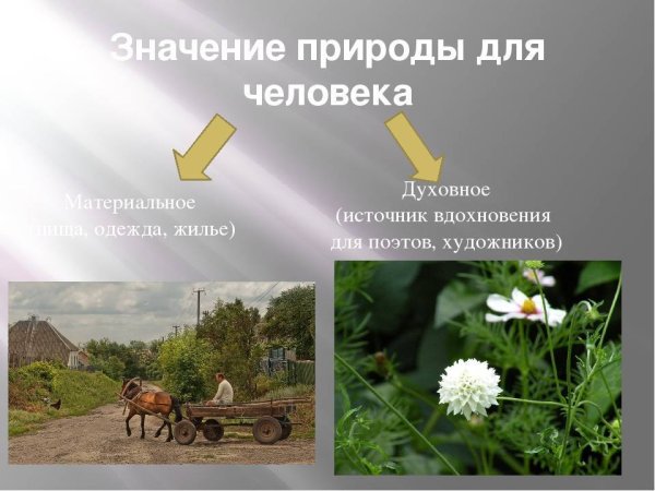 Роль человека в природе