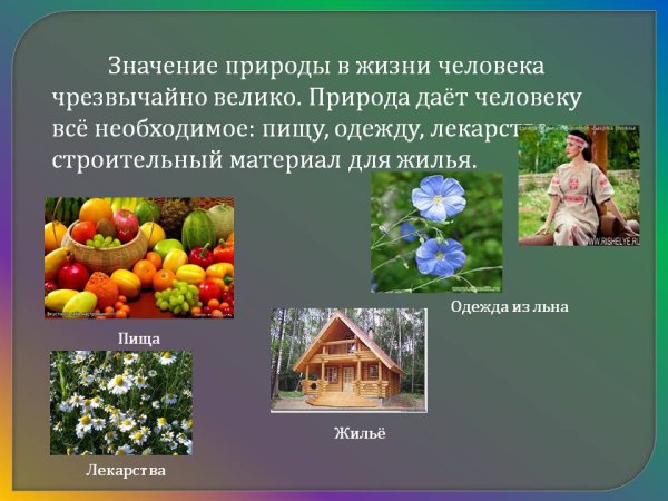 Роль природы в жизни человека